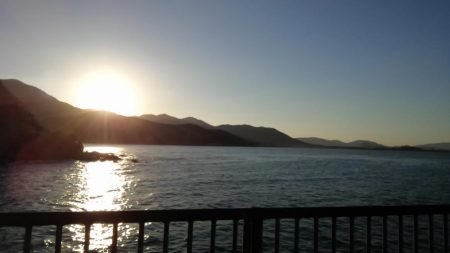 アジのサイズが少し大きくなってきました（下関フィッシングパーク）